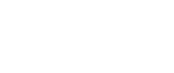 optik-wagner-logo